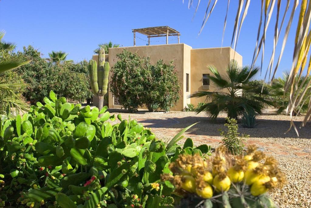 Sole Caliente Villa Todos Santos Buitenkant foto
