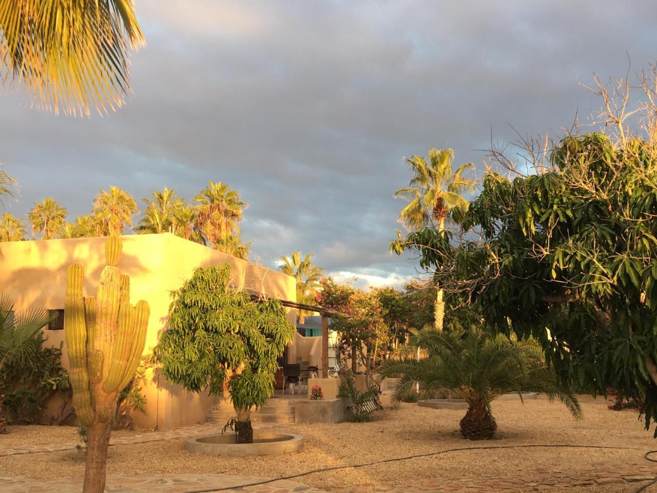 Sole Caliente Villa Todos Santos Buitenkant foto